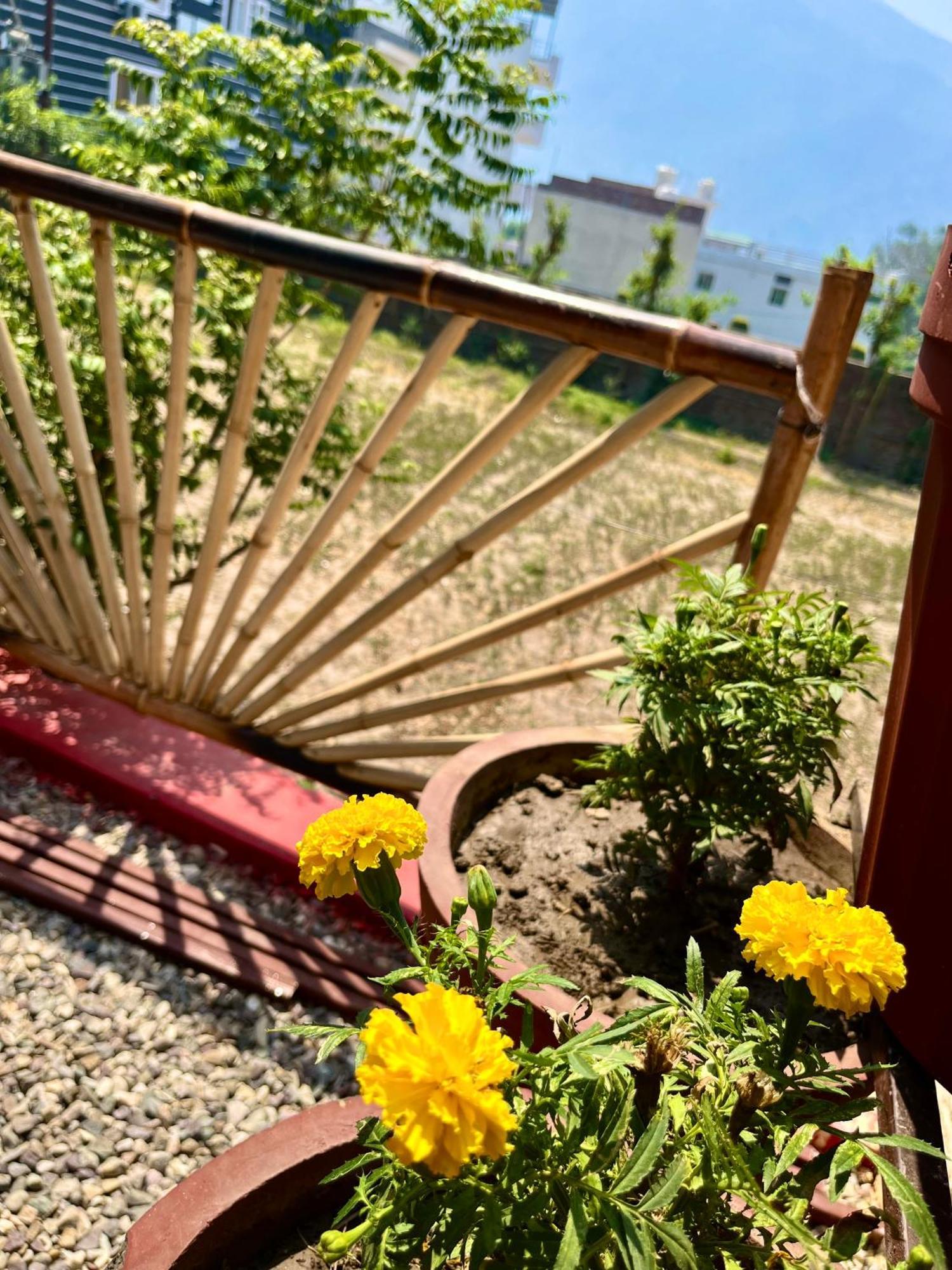 רישיקש Bamboo Garden Cottages And Cafe מראה חיצוני תמונה